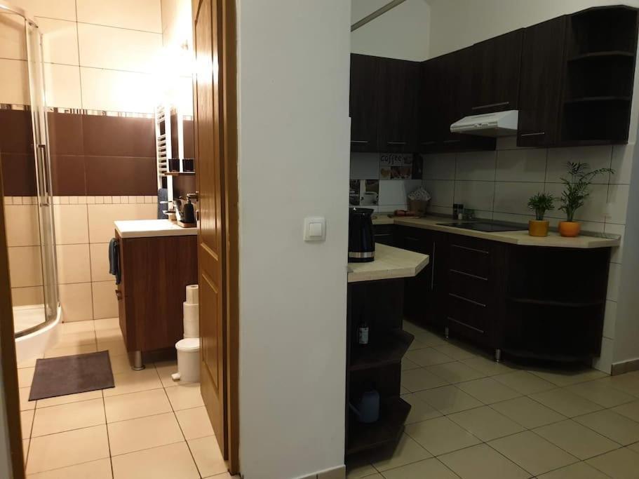 Zen By Downtown Apartments Targu Mures Exterior photo